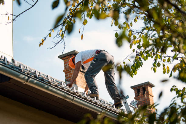 Quick and Trustworthy Emergency Roof Repair Services in Belding, MI