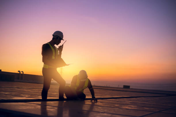 Best Roof Gutter Cleaning  in Belding, MI
