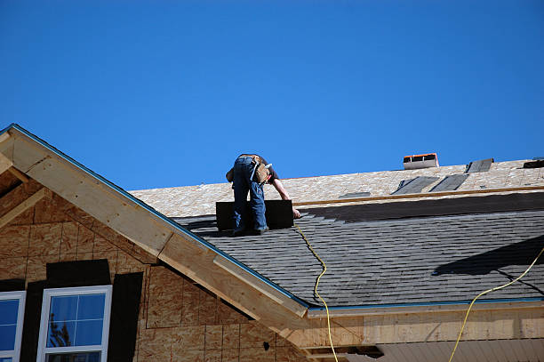 Roof Gutter Cleaning in Belding, MI