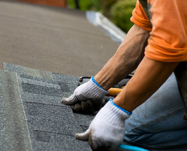 Best Roof Repair Services  in Belding, MI