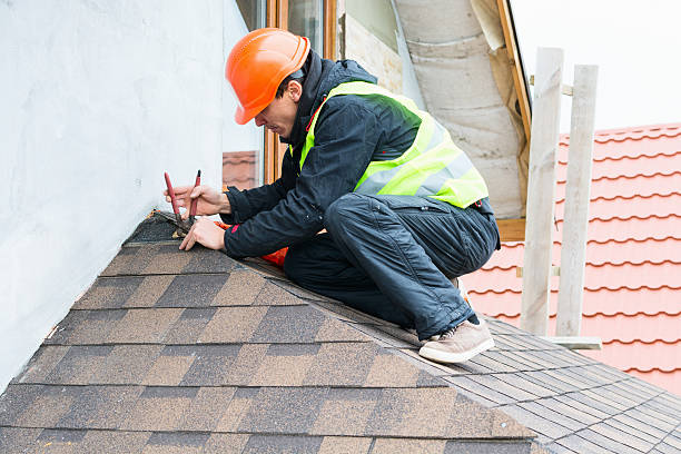 Best Residential Roofing Contractor  in Belding, MI